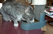 MANGE 001